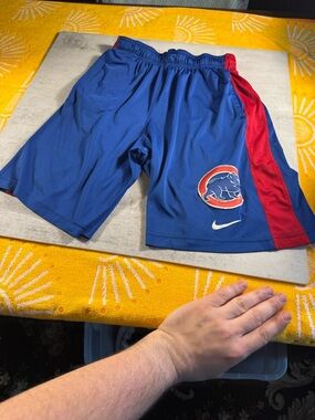 Chicago Cubs Nike Training Shorts MLB Genuine Merchandise Pockets Mens  small